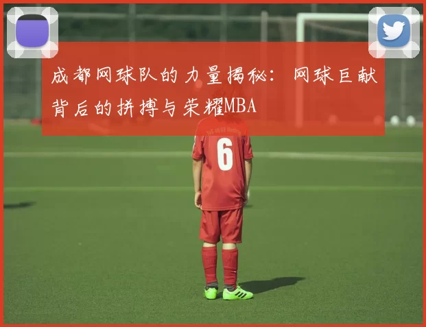 成都网球队的力量揭秘：网球巨献背后的拼搏与荣耀MBA