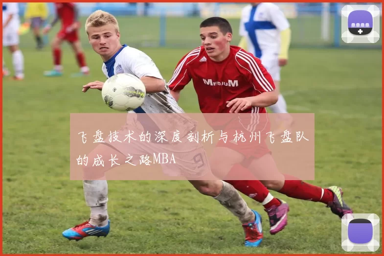 飞盘技术的深度剖析与杭州飞盘队的成长之路MBA