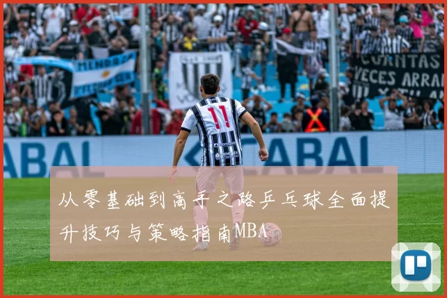 从零基础到高手之路乒乓球全面提升技巧与策略指南MBA