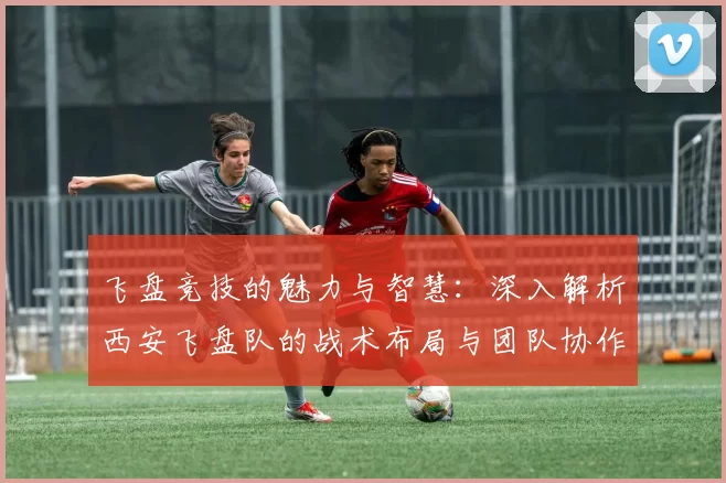 飞盘竞技的魅力与智慧：深入解析西安飞盘队的战术布局与团队协作MBA