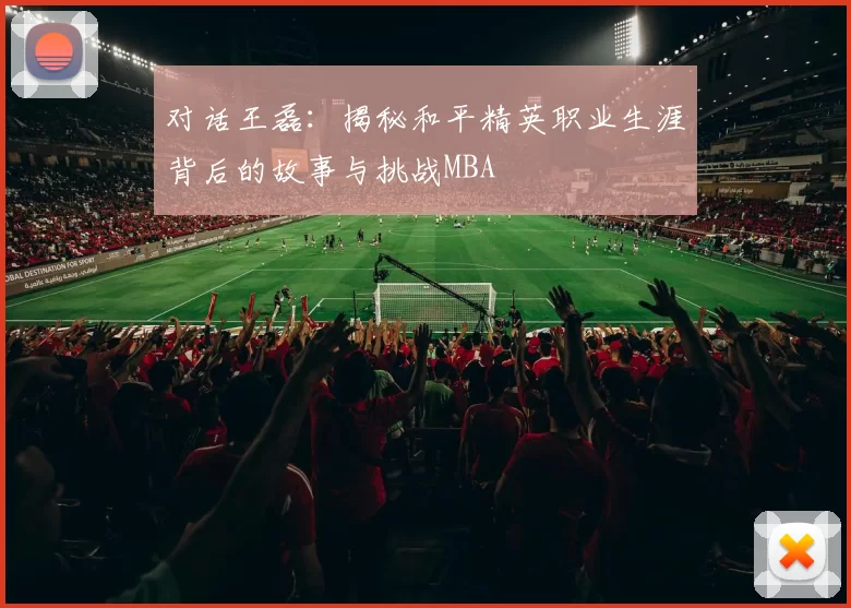 对话王磊：揭秘和平精英职业生涯背后的故事与挑战MBA