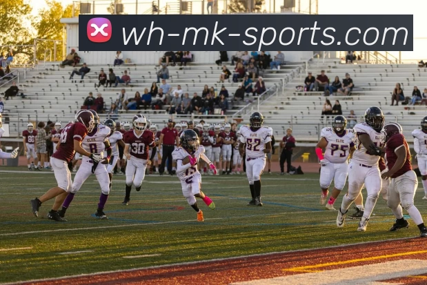 mk体育平台平台生态图