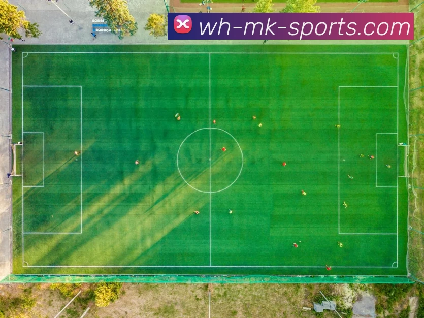 数据防护可视化